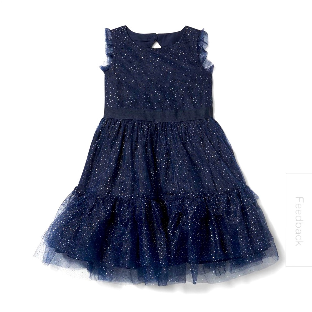 BNWT SPECIAL OCCASION J&J dress